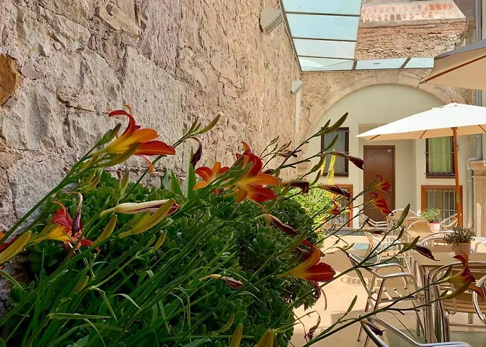 La Terrassa Barcelona